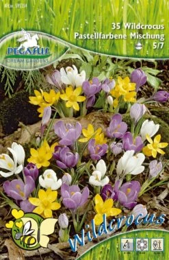Wildkrokus Mischung Pastellfarben (35 Stück) | Krokuszwiebeln Von Pegasus