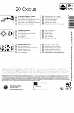 Pracht-Herbst-Krokus (20 Stück) | Krokuszwiebeln Von Kiepenkerl