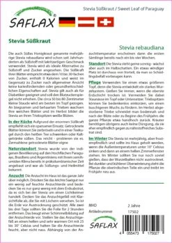Süßkraut Stevia | Steviasamen Von Saflax