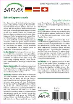 Echter Kapernstrauch | Kapernsamen Von Saflax