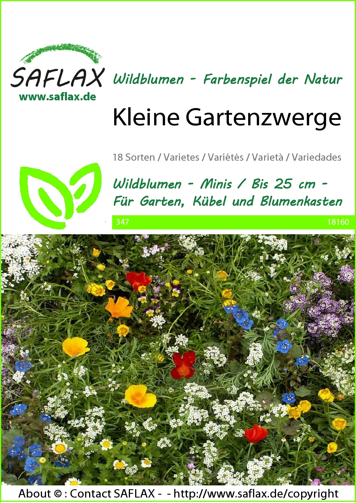 Blumenwiese Kleine Gartenzwerge | Wildblumenwiese Von Saflax – Bild 2