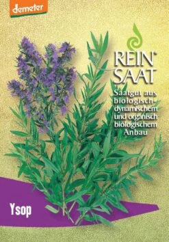 Ysop | BIO Kräutersamen Von Reinsaat