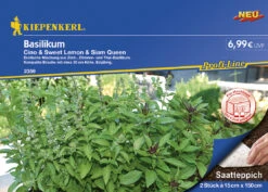 Basilikum Cino Sweet Lemon Siam Queen Doppeltüte (Saatteppich) | Basilikumsamen Von Kiepenkerl