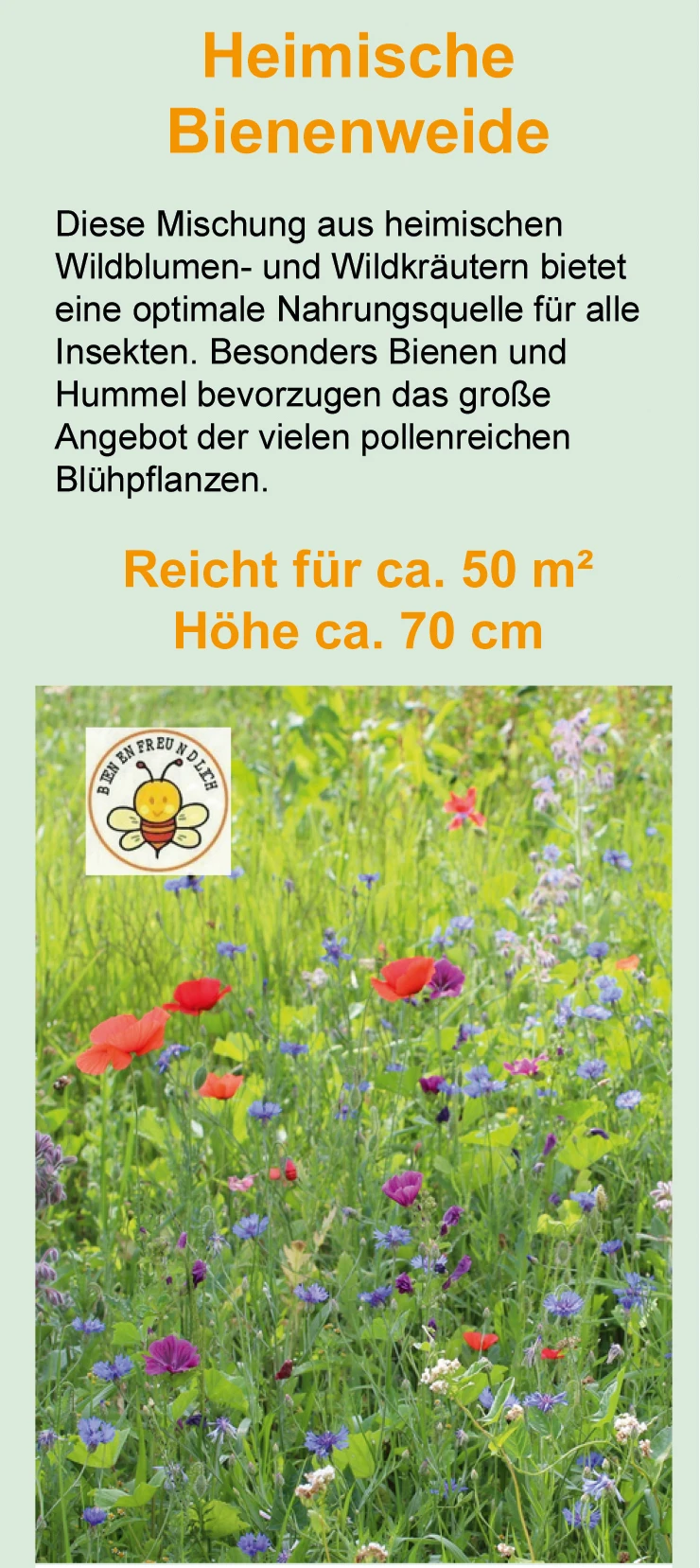 Heimische Bienenweide (100 G) | Bienenwiese Von Samen Pfann