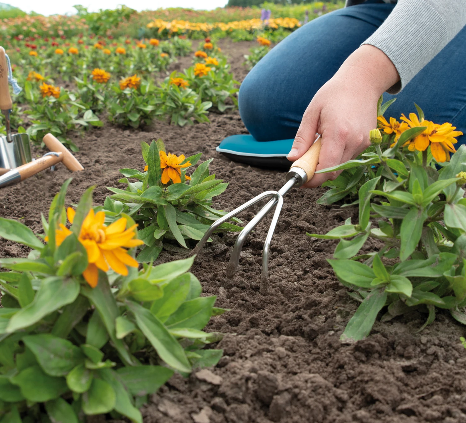 Handharke | Gartengeräte Von Sogo – Bild 3
