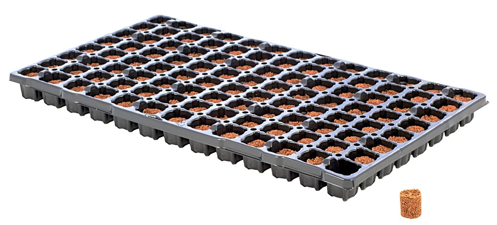 Eazy Plug Anzuchtwürfel CT104, Rund, 3,5 X 2 Cm, Tray Mit 104 St. | Anzuchttray – Bild 3